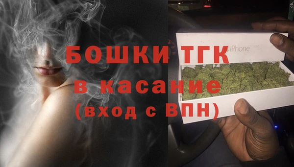 спиды Инсар