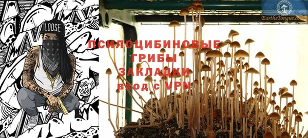 спиды Инсар