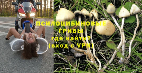 спиды Инсар
