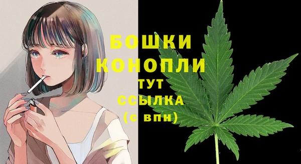 спиды Инсар