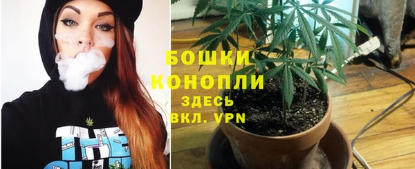 дурь Иннополис