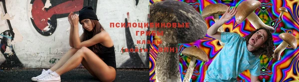 дурь Иннополис