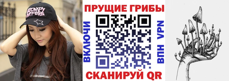 Купить где  Покачи  Псилоцибиновые грибы мицелий 
